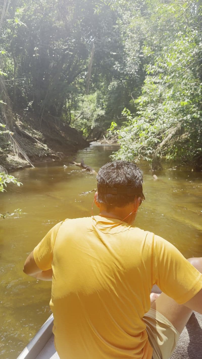 An angler seated on a boat in a forest creek