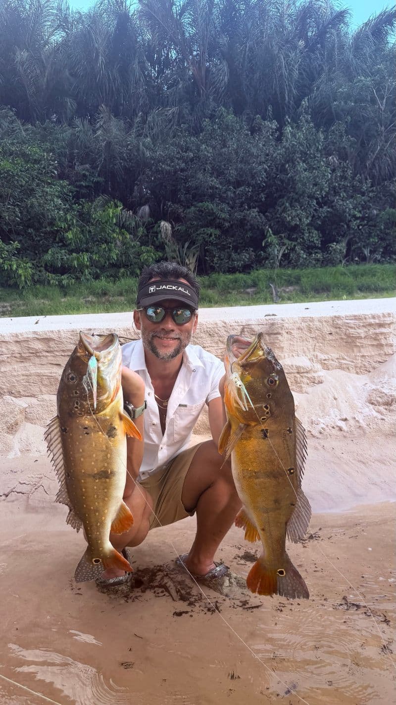 An angler crouching on a sandbank with two peacock bass