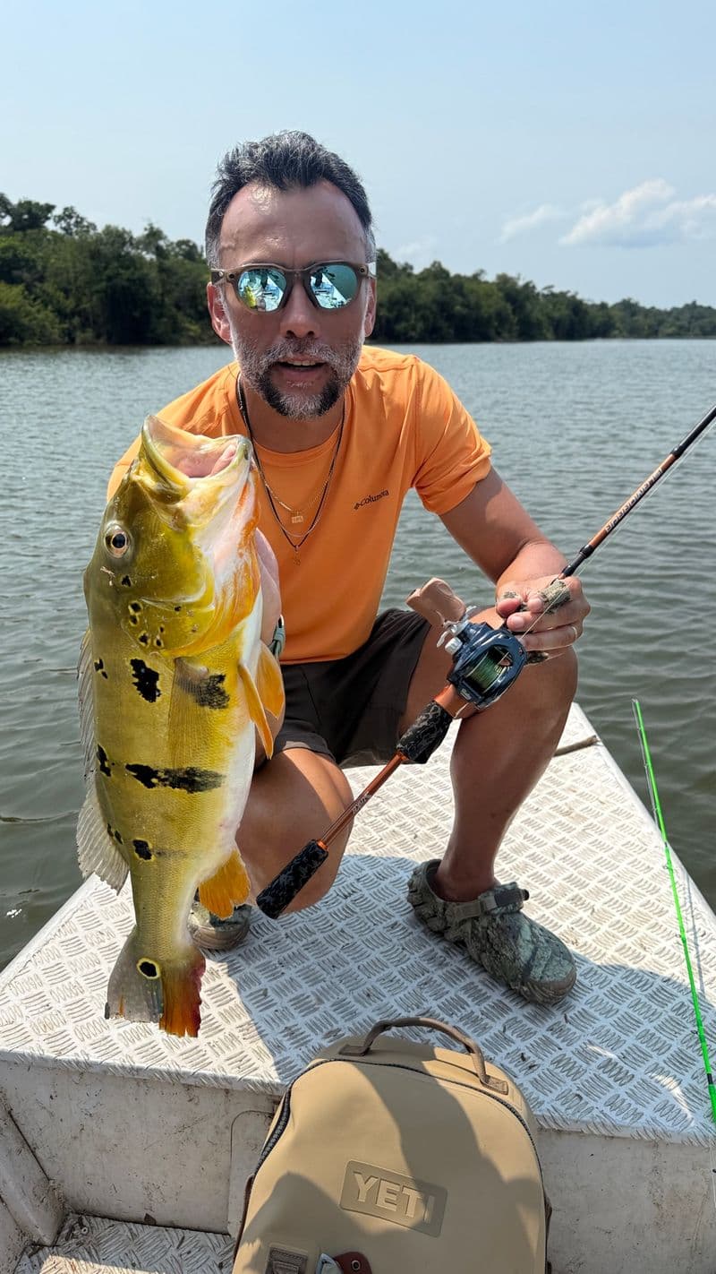 An angler with a peacock bass and a casting rod on the boat deck