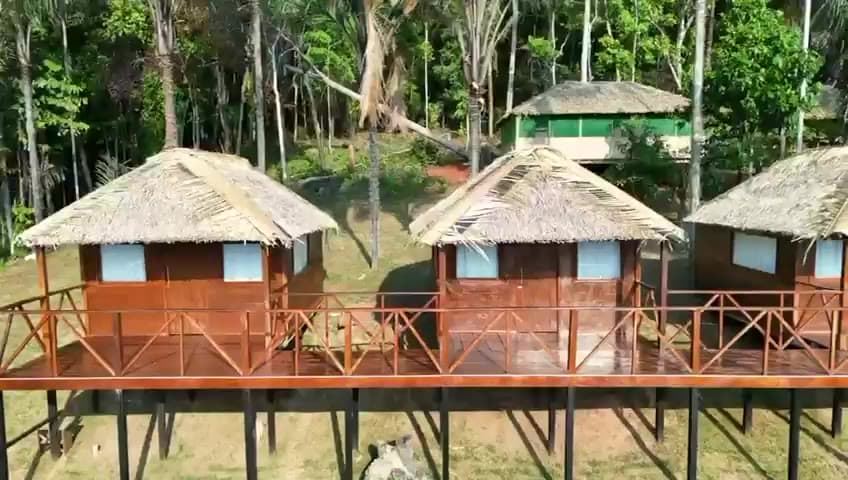 Lodge cabins on stilts among the trees