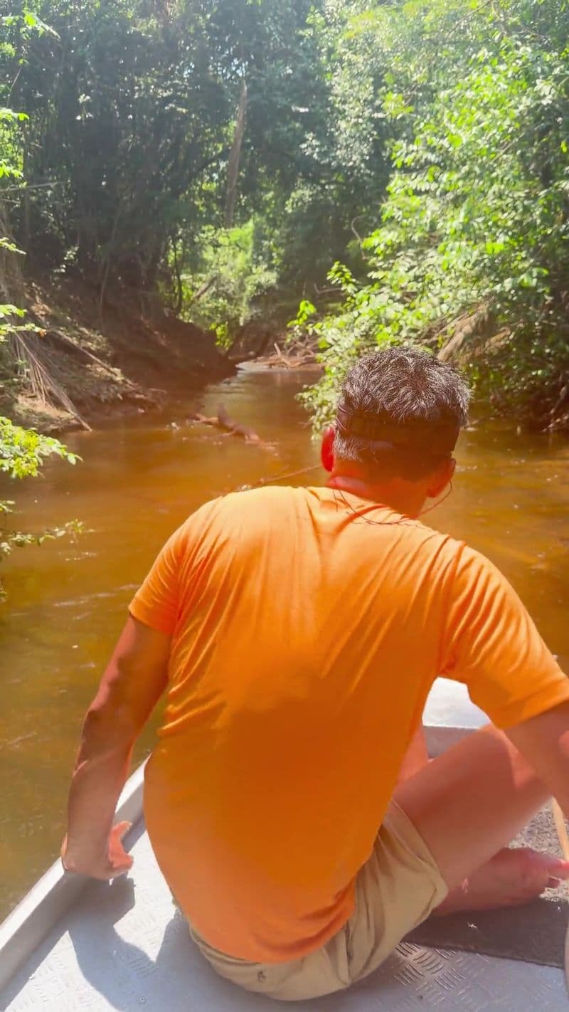 Frame from the video "Entering the Camaiu green room"