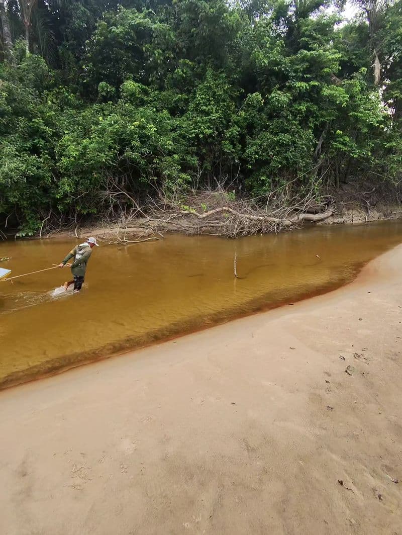 A sandbank on a blackwater river