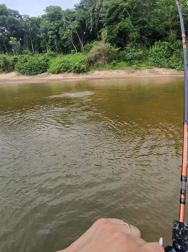 A fishing rod bent over the river