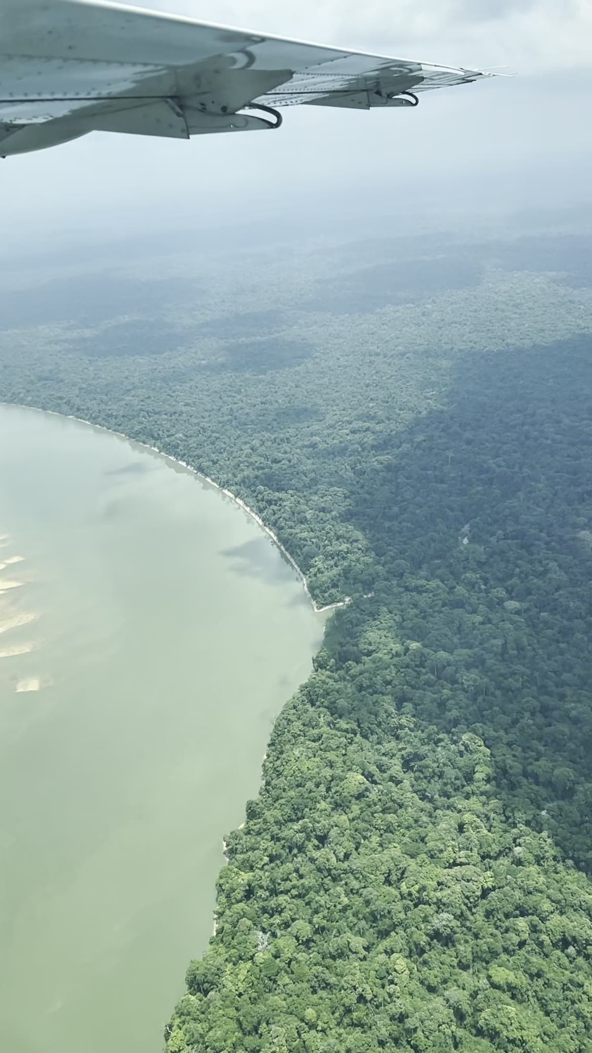 The river winding through the forest seen from the seaplane